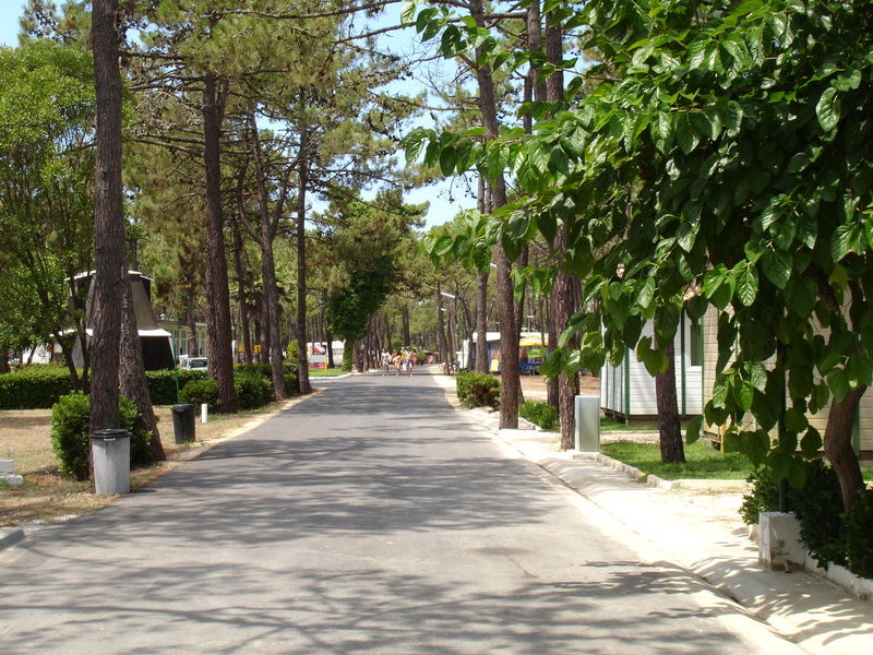 Parque De Campismo Orbitur Gala Hotel Figueira da Foz Luaran gambar