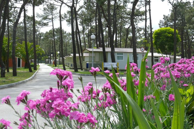 Parque De Campismo Orbitur Gala Hotel Figueira da Foz Luaran gambar